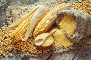 Complete Maize Flour Processing Business Plan PDF